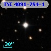 TYC 4091-784-1