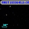 FIRST J155645.1+395955