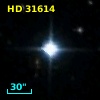 HD  31614