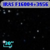 IRAS F16004+3856