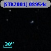 [STK2001] 08954c