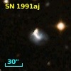 SN 1991aj