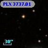 PLX 3737.01