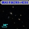 IRAS F16293+4231