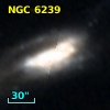 NGC  6239