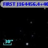 FIRST J164456.4+404157