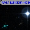 NVSS J164336+423648