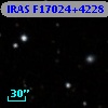 IRAS F17024+4228