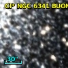 Cl* NGC 6341   BUON     446