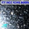 Cl* NGC 6341   BUON     232