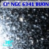 Cl* NGC 6341   BUON     241
