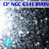Cl* NGC 6341   BUON     318