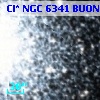 Cl* NGC 6341   BUON     304