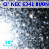 Cl* NGC 6341   BUON     255