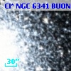 Cl* NGC 6341   BUON     262