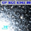 Cl* NGC 6341   BUON     186