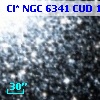 Cl* NGC 6341    CUD      13