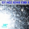 Cl* NGC 6341    CUD      17