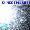 Cl* NGC 6341   REES     558