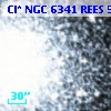 Cl* NGC 6341   REES     571