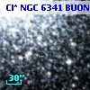 Cl* NGC 6341   BUON     484