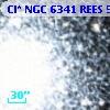 Cl* NGC 6341   REES     573