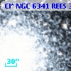Cl* NGC 6341   REES     392