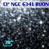 Cl* NGC 6341   BUON     530