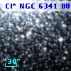 Cl* NGC 6341   BUON     511
