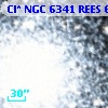 Cl* NGC 6341   REES     677
