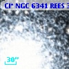 Cl* NGC 6341   REES     396