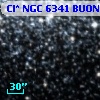 Cl* NGC 6341   BUON     552
