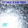 Cl* NGC 6341   REES     395