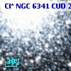 Cl* NGC 6341    CUD      22