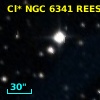 Cl* NGC 6341   REES       7