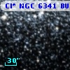 Cl* NGC 6341   BUON     547