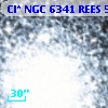 Cl* NGC 6341   REES     599