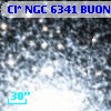 Cl* NGC 6341   BUON     142