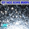 Cl* NGC 6341   BUON      98