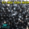 Cl* NGC 6341   BUON     554