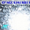 Cl* NGC 6341   REES     613
