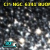 Cl* NGC 6341   BUON      57