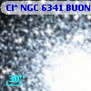 Cl* NGC 6341   BUON     221