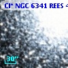 Cl* NGC 6341   REES     484