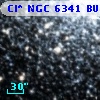 Cl* NGC 6341   BUON     514