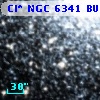 Cl* NGC 6341   BUON     479