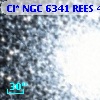 Cl* NGC 6341   REES     463