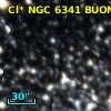Cl* NGC 6341   BUON      40