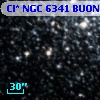 Cl* NGC 6341   BUON     546
