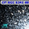 Cl* NGC 6341   BUON     101